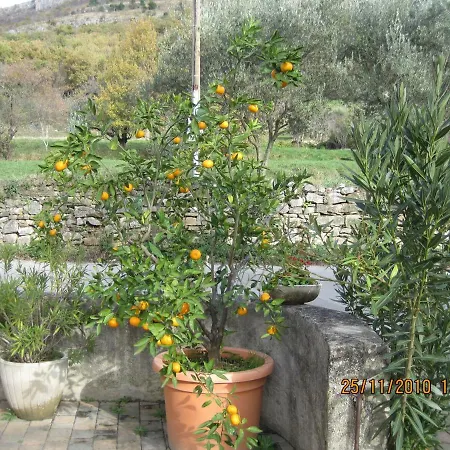 Klabjan * Osp