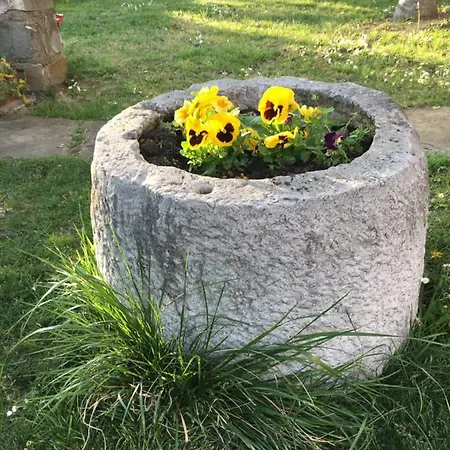 Klabjan